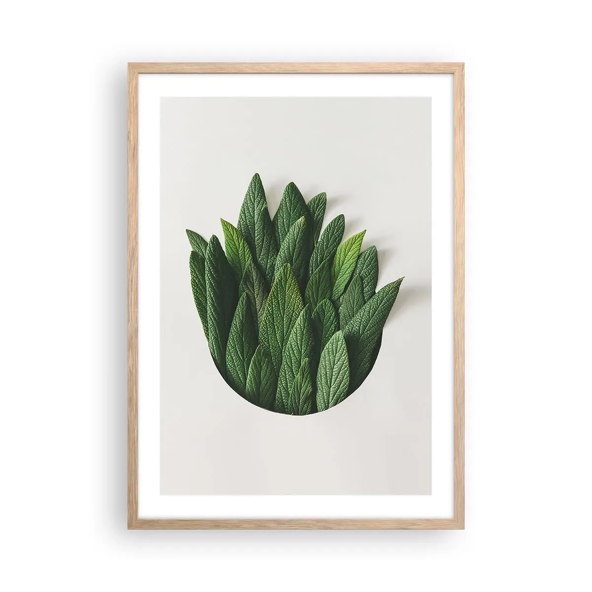 Affiche dans un chêne clair - Poster - Curiosité sans retenue - 50x70 cm