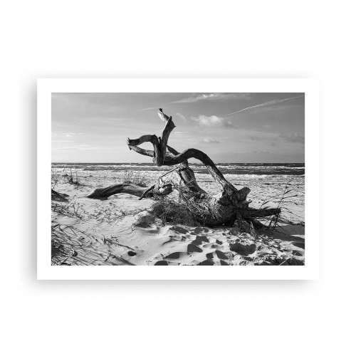 Affiche - Poster - Sculpture marine - 70x50 cm