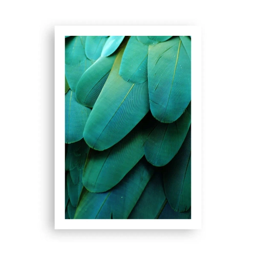 Affiche - Poster - Gros plan des plumes vertes d'un oiseau exotique - 50x70cm - Perfection de la nature du perroquet - Décoration murale moderne pour le salon et la chambre ARTTOR