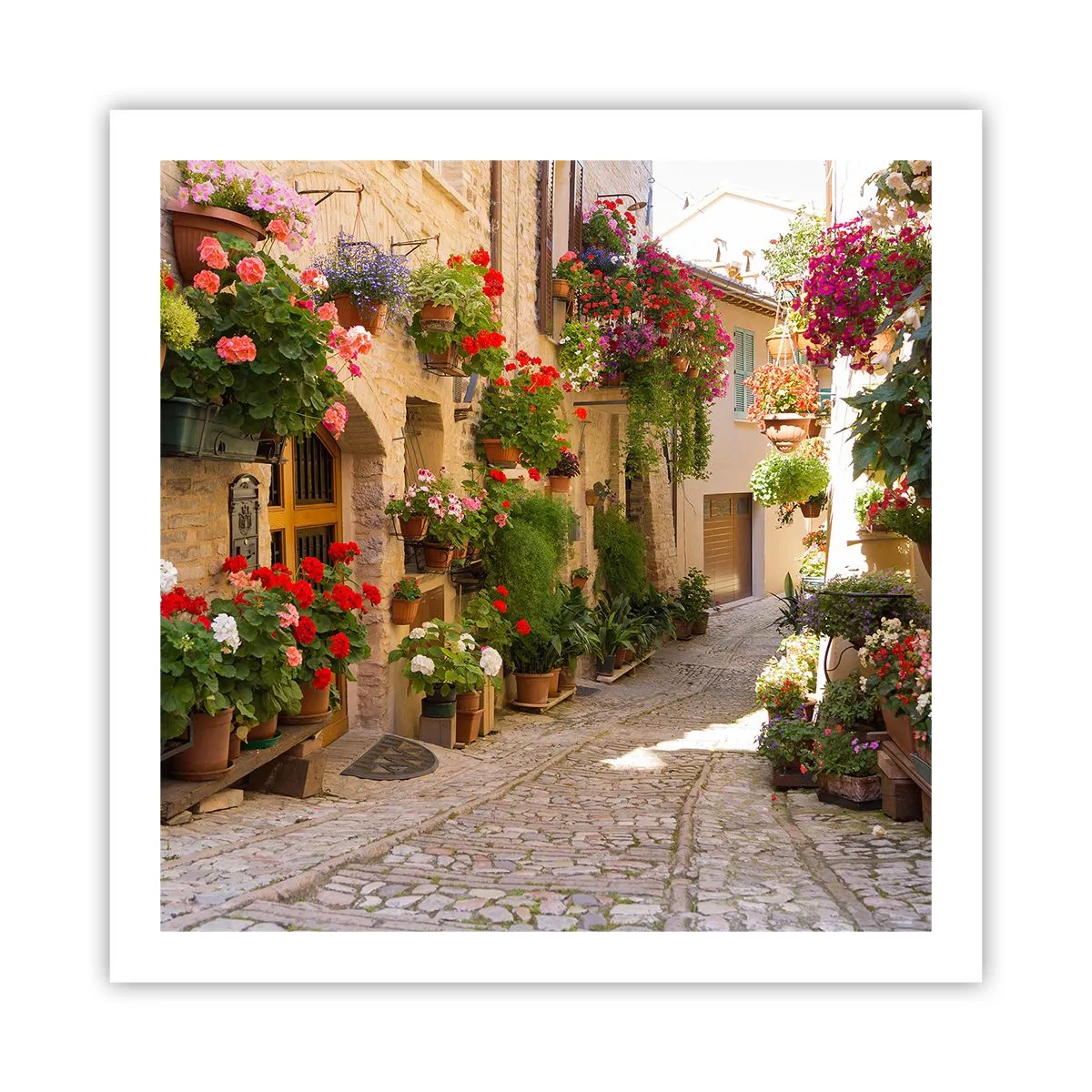 Affiche - Poster - Une inondation de fleurs - 60x60 cm