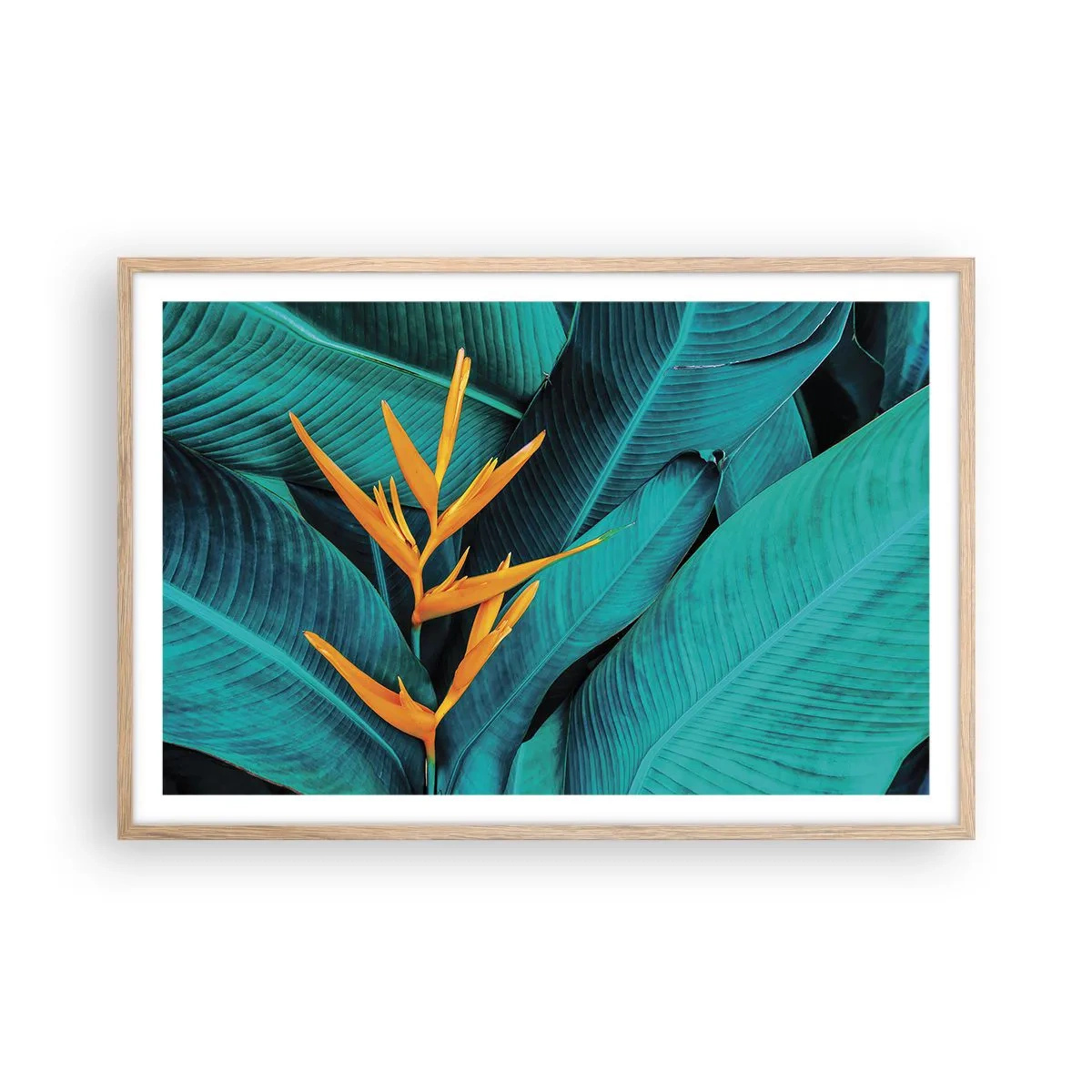 Affiche dans un chêne clair - Poster - Fleur d'Eden - 91x61 cm