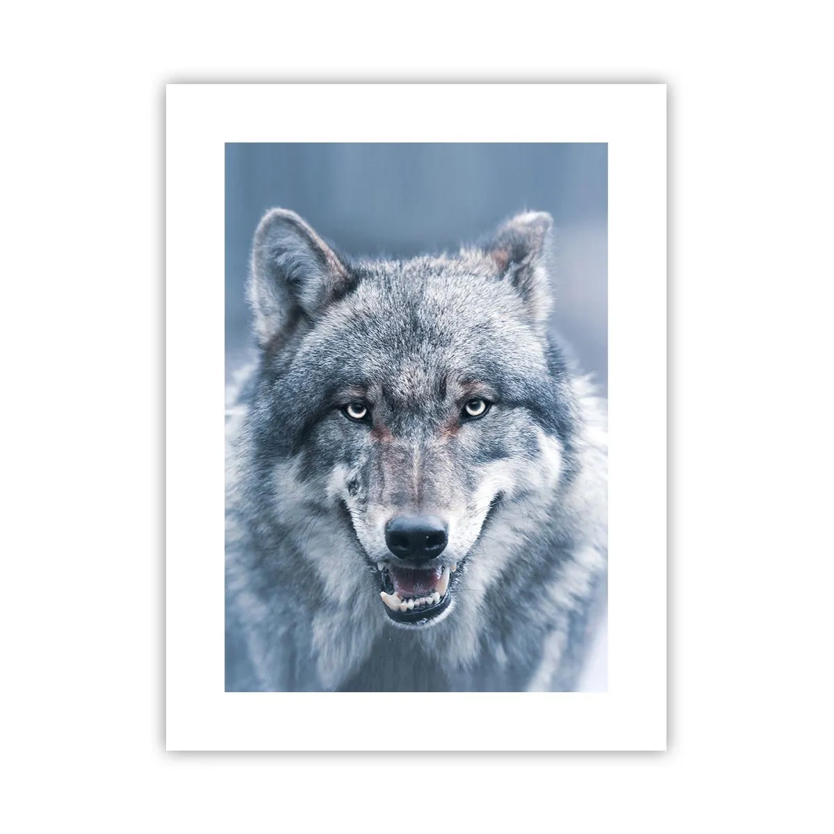 Affiche - Poster - Relèverez-vous le défi ? - 30x40 cm