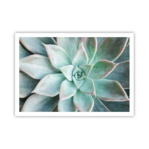 Affiche - Poster - Gros plan d'une succulente verte - 100x70cm - Le coeur du désert - Décoration murale moderne pour le salon et la chambre ARTTOR