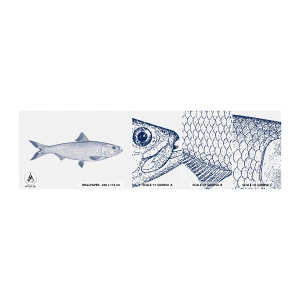 Échantillon de Papier Peint Autocollant Deluxe Sticker - Salutations des mers du nord - Poisson, Animal marin, Style bord de mer - 100x30 cm