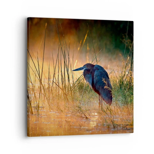 Impression sur toile - Image sur toile - Allez, laissez-moi en paix avec ces photos - 30x30 cm