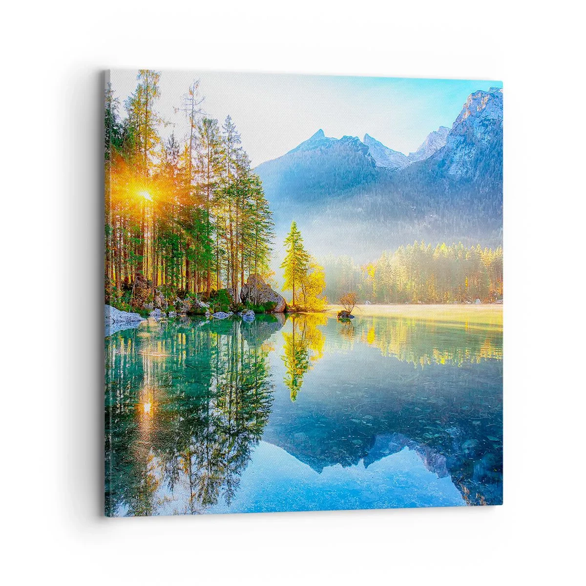 Impression sur toile - Image sur toile - Majesté et douceur - 70x70 cm