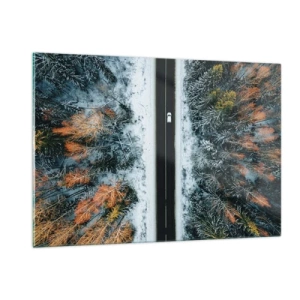 Impression sur verre - Image sur verre - Une route d'hiver à travers une forêt enneigée avec des arbres colorés - 120x80cm - Couper à travers la forêt d'hiver - Décoration murale moderne pour le salon et la chambre ARTTOR