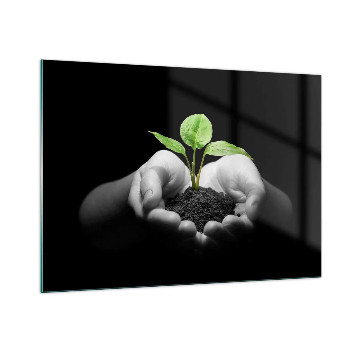Impression sur verre - Image sur verre - Une jeune plante dans les mains sur un fond noir - 100x70cm - J'aime la nature, je la protège - Décoration murale moderne pour le salon et la chambre ARTTOR