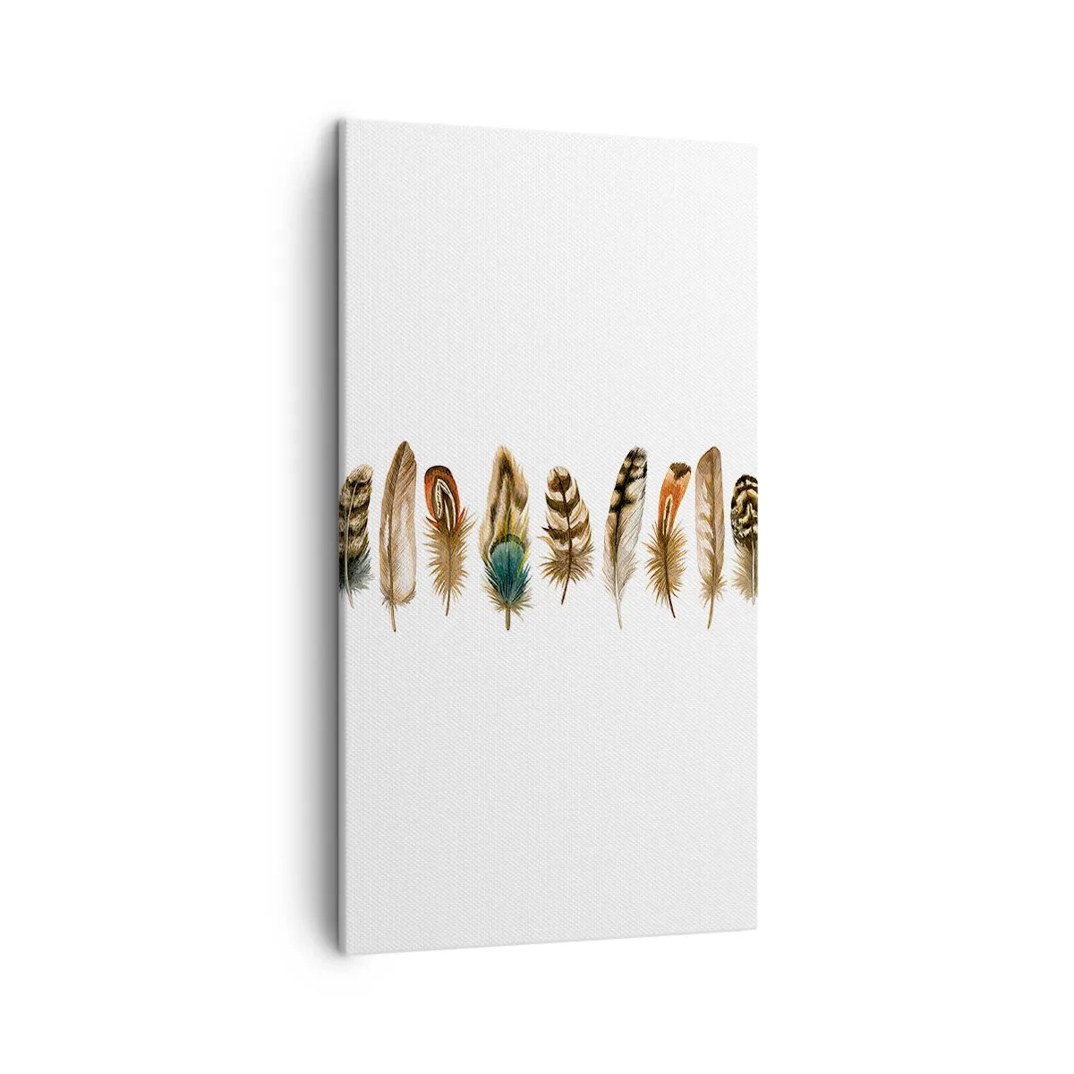Impression sur toile - Image sur toile - Variation à plumes - 45x80 cm