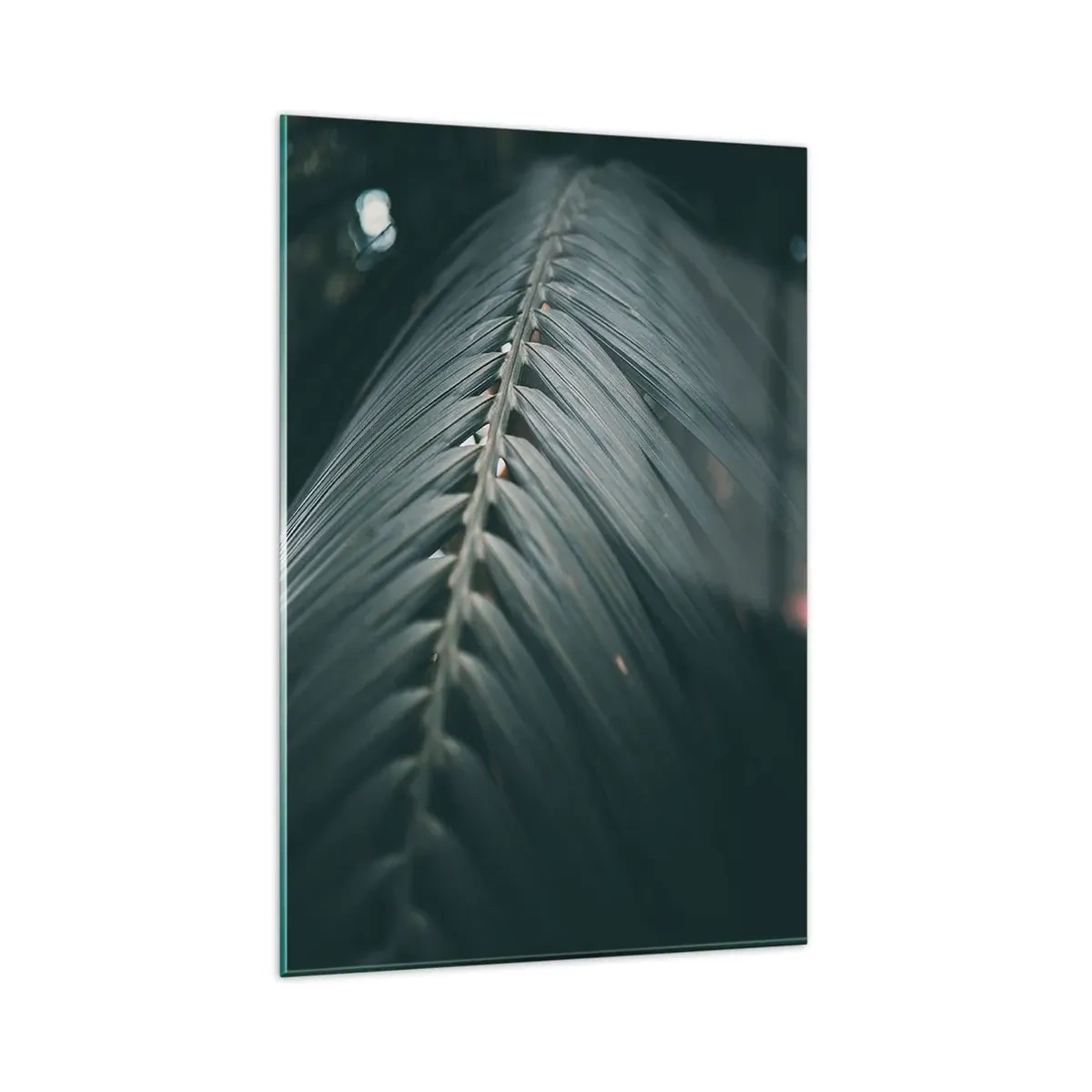 Impression sur verre - Image sur verre - Gros plan d'un détail de feuille de palmier aux tons sombres - 80x120cm - Précision de la nature - Décoration murale moderne pour le salon et la chambre ARTTOR
