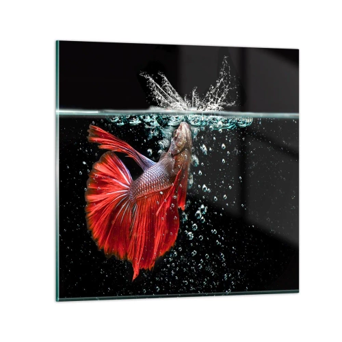 Impression sur verre - Image sur verre - Vous avez trois vœux - 50x50 cm