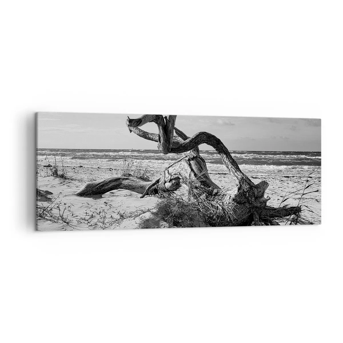 Impression sur toile - Image sur toile - Paysage noir et blanc avec un arbre mort sur la plage - 140x50cm - Sculpture marine - Décoration murale moderne pour le salon et la chambre ARTTOR