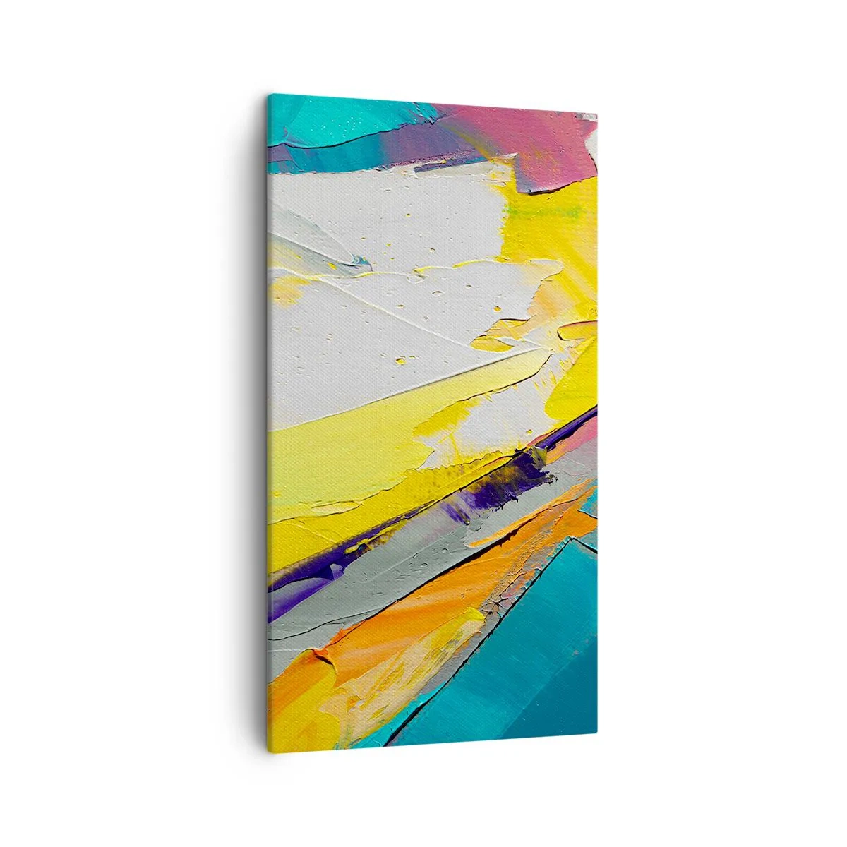 Impression sur toile - Image sur toile - Anatomie du monde - 45x80 cm
