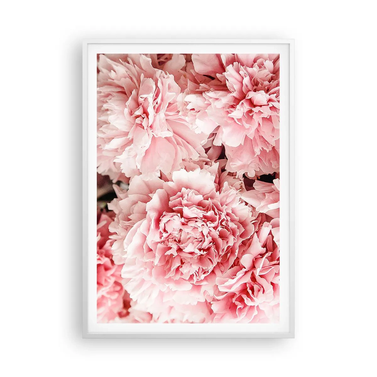 Affiche dans un cadre blanc - Poster - Rêve rose - 70x100 cm