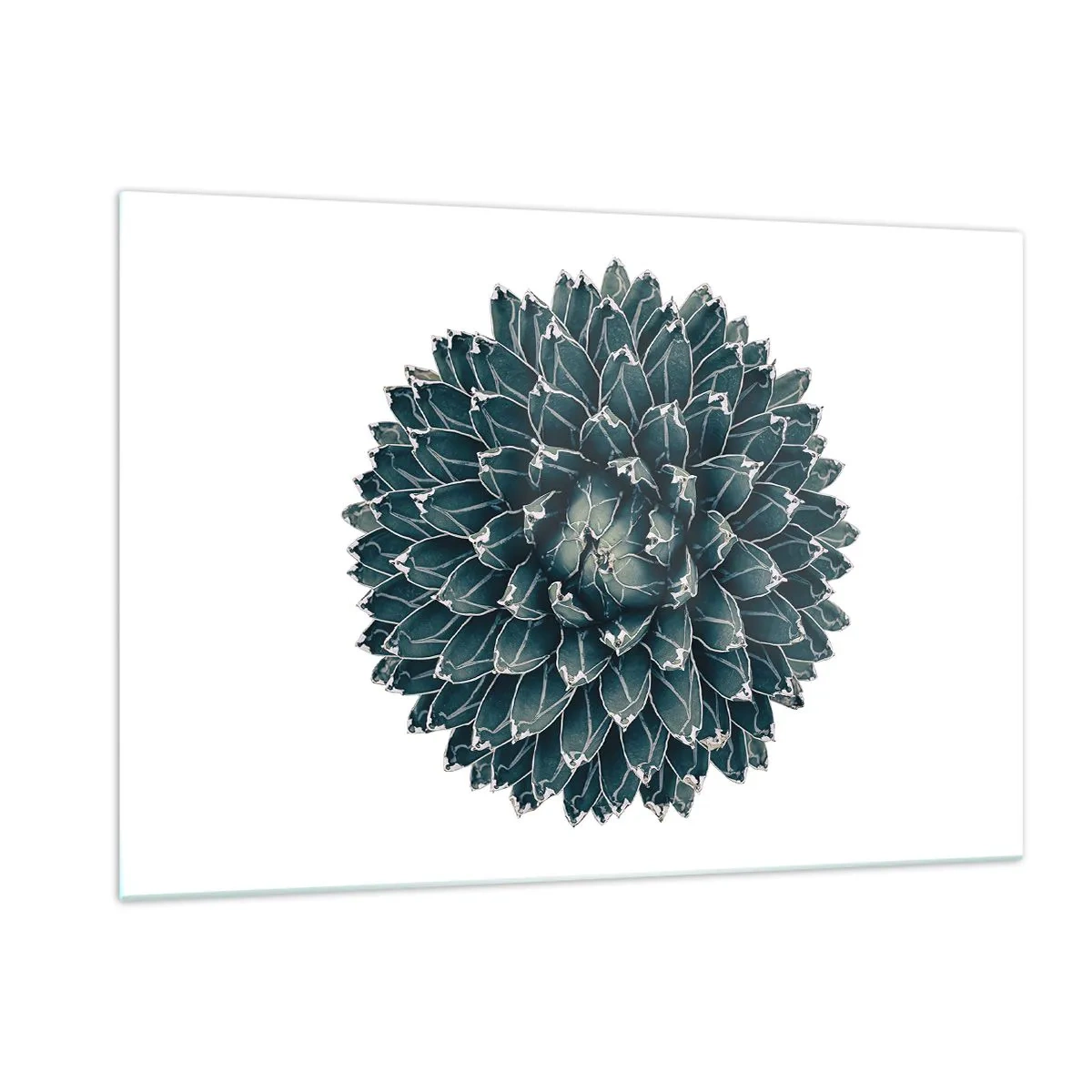 Impression sur verre - Image sur verre - Motif symétrique d'une plante succulente sur fond blanc - 120x80cm - Étoile du désert - Décoration murale moderne pour le salon et la chambre ARTTOR