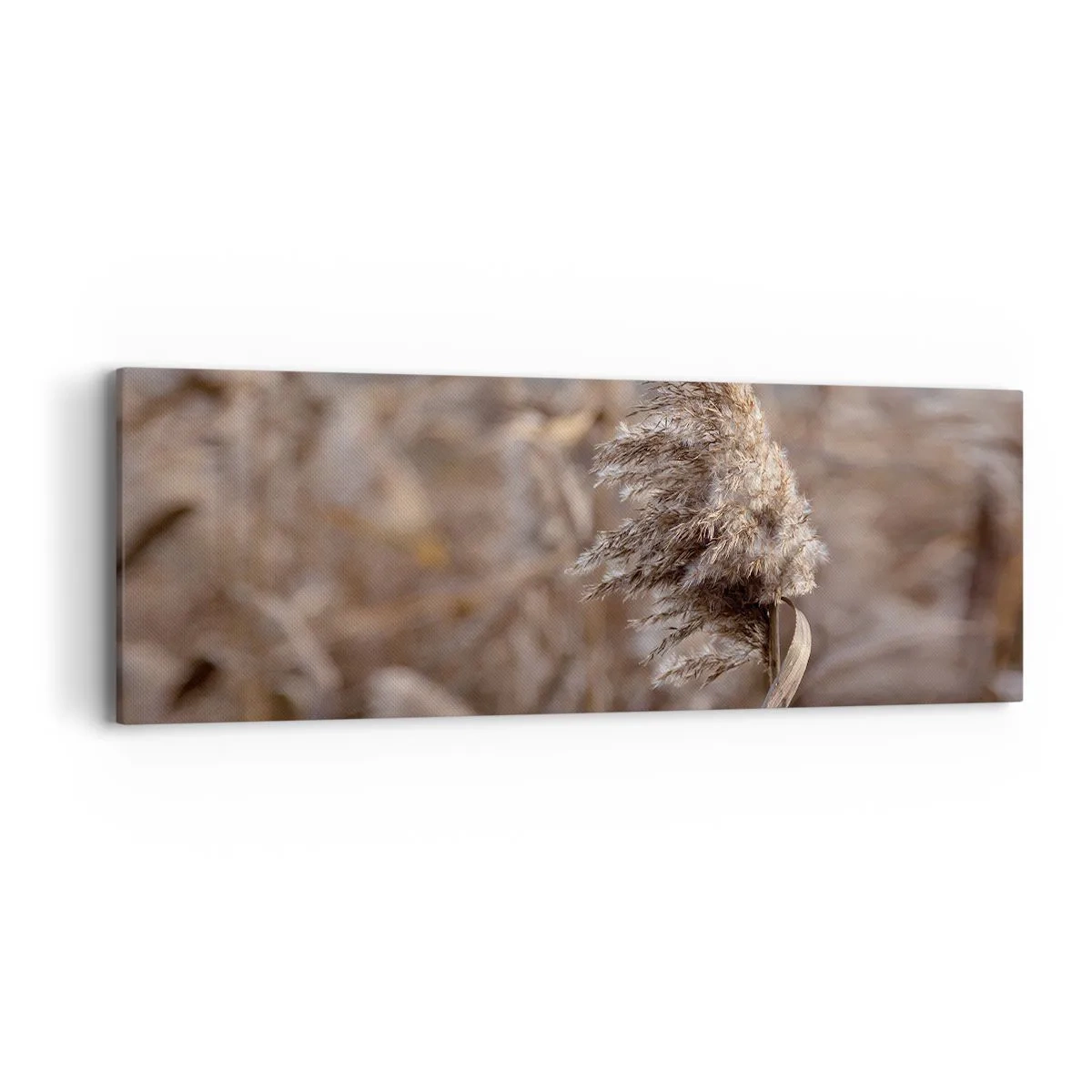 Impression sur toile - Image sur toile - Il est temps de s'envoler avec le vent - 90x30 cm