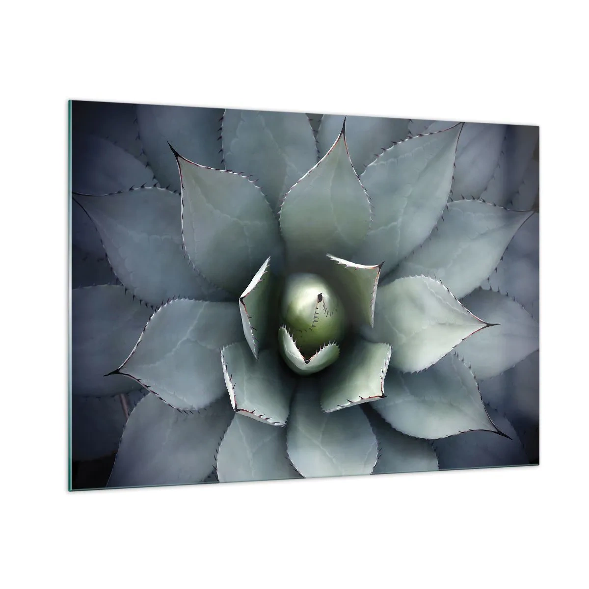Impression sur verre - Image sur verre - Gros plan des feuilles d'agave symétriques de couleur acier. - 100x70cm - Wabi et observe - Décoration murale moderne pour le salon et la chambre ARTTOR
