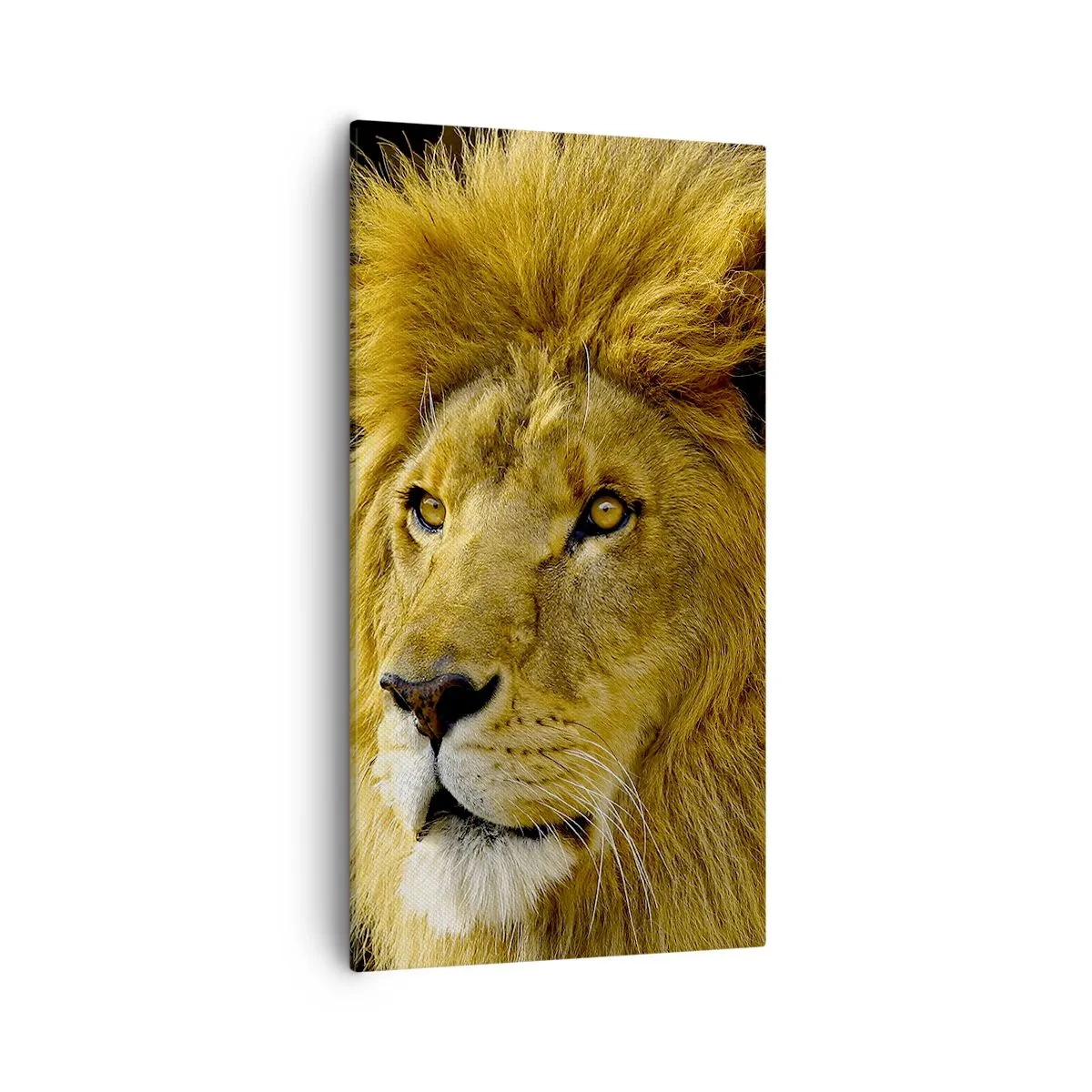 Impression sur toile - Image sur toile - Portrait de roi - 55x100 cm