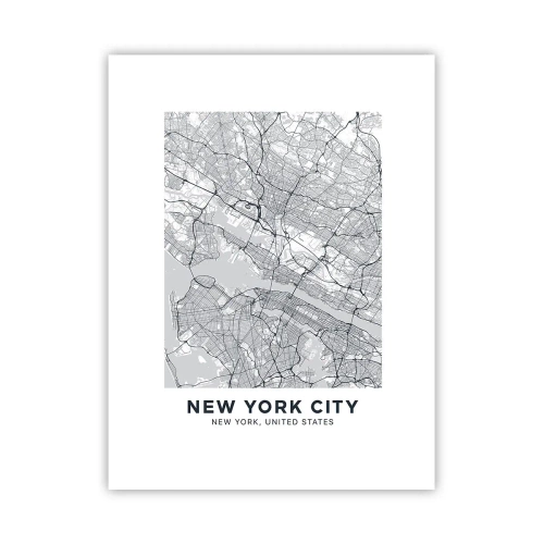 Affiche - Poster - Anatomie de la métropole - 30x40 cm