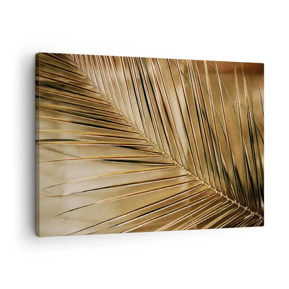 Impression sur toile - Image sur toile - Colonnade naturelle - 70x50 cm