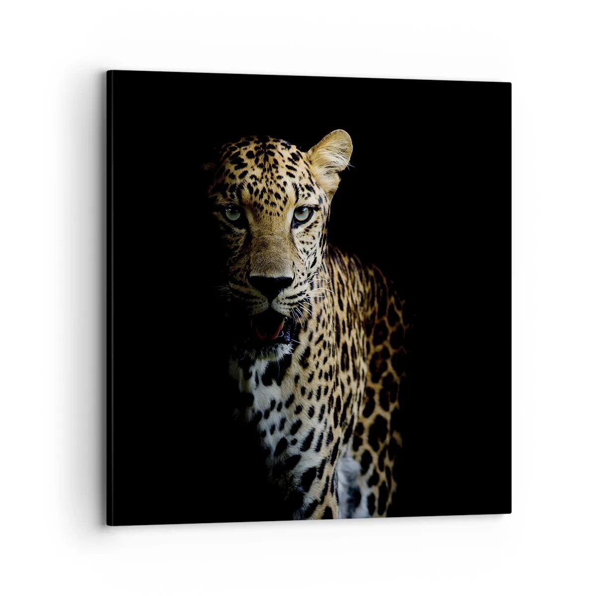 Impression sur toile - Image sur toile - Beauté sombre - 70x70 cm