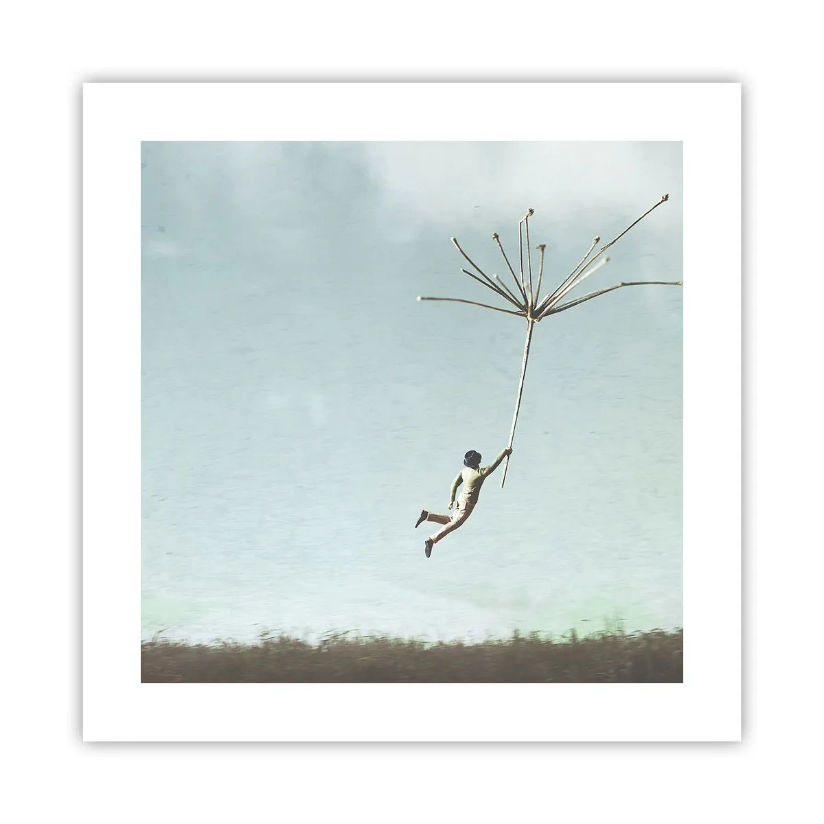 Affiche - Poster - Cerfs-volants, pissenlits, vent - 40x40 cm