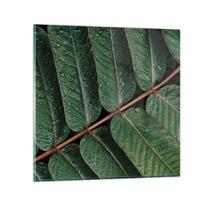 Impression sur verre - Image sur verre - Au rythme de la verdure - 50x50 cm