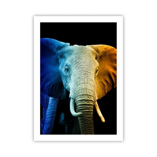 Affiche - Poster - Une image colorée d'un éléphant sur fond noir - 50x70cm - Excentrique, pas bizarre - Décoration murale moderne pour le salon et la chambre ARTTOR