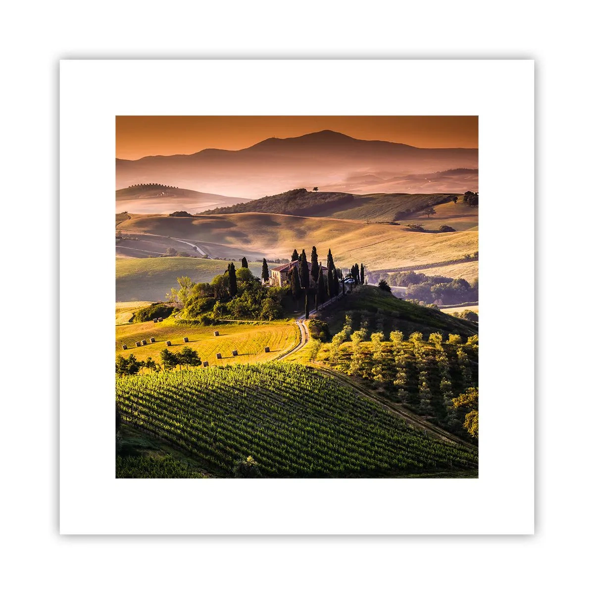 Affiche - Poster - Arcadie - le paysage toscan - 30x30 cm