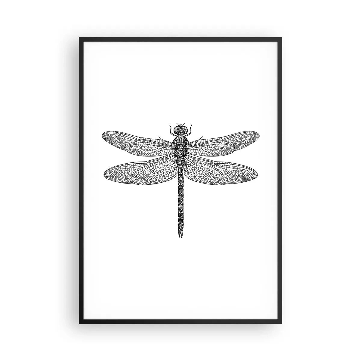 Affiche dans un cadre noir - Poster - Précision de la nature - 70x100 cm