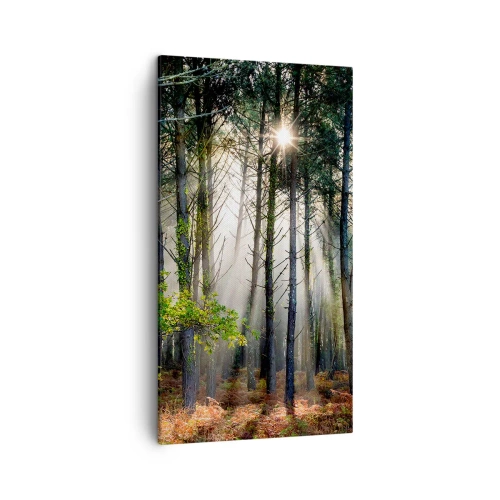 Impression sur toile - Image sur toile - Une zone forestière - 45x80 cm