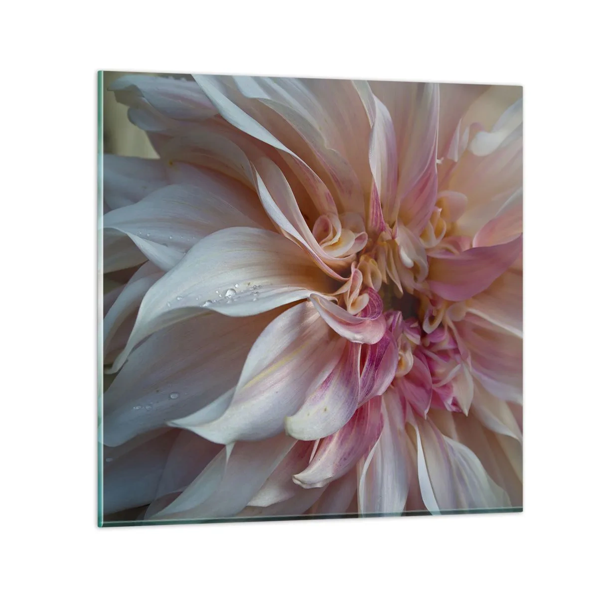 Impression sur verre - Image sur verre - Fraîcheur fleurissante - 40x40 cm