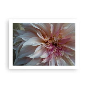 Affiche - Poster - Fraîcheur fleurissante - 70x50 cm