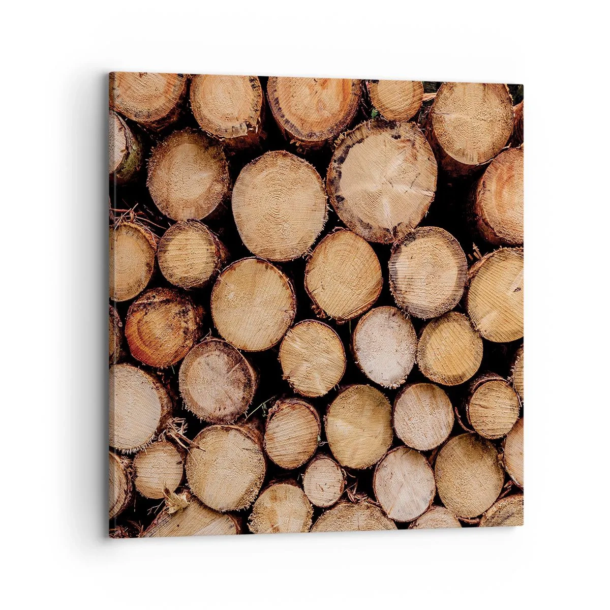 Impression sur toile - Image sur toile - Nouveau commencement - 70x70 cm