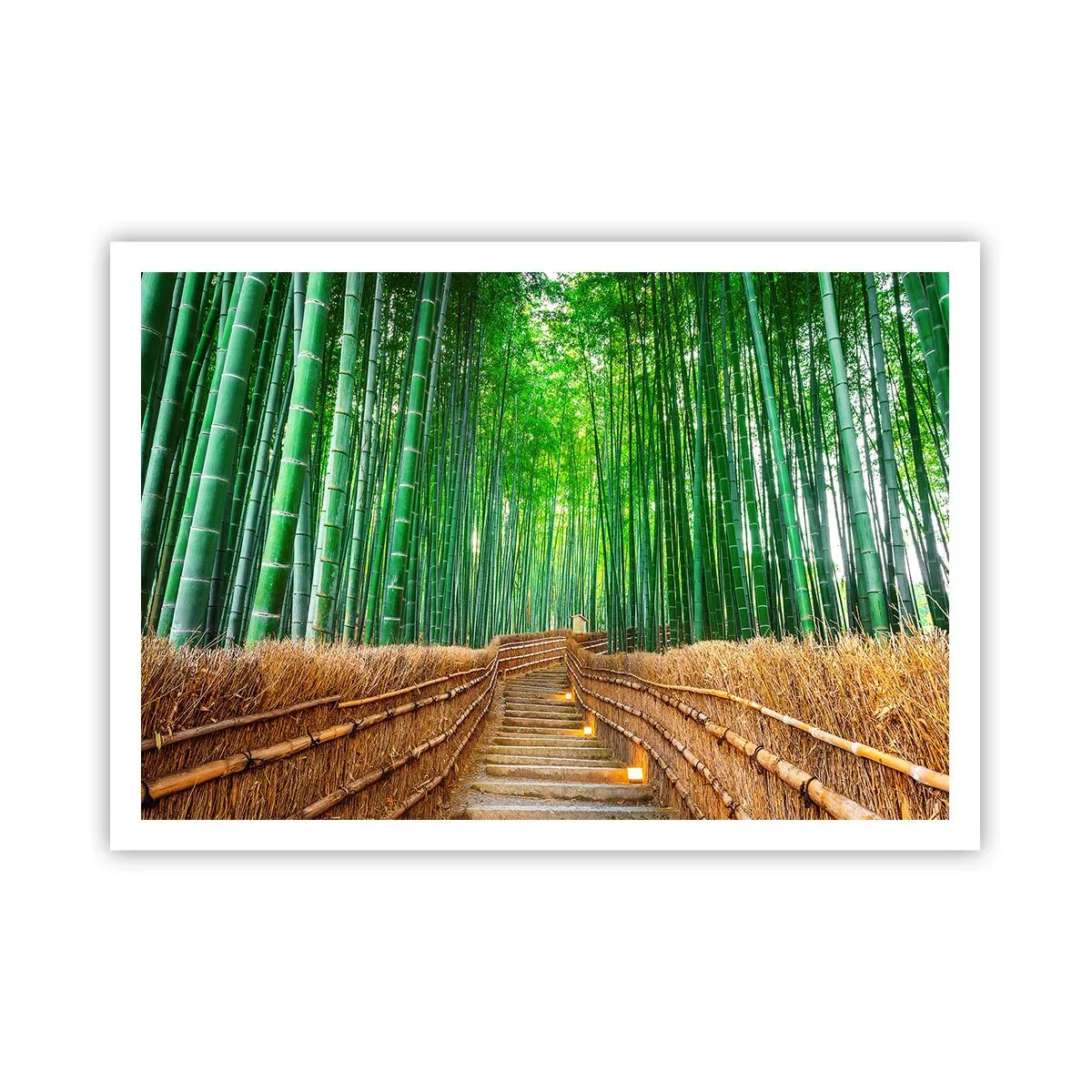 Affiche - Poster - Un chemin dans une dense forêt de bambous - 100x70cm - L'essence de la nature asiatique - Décoration murale moderne pour le salon et la chambre ARTTOR