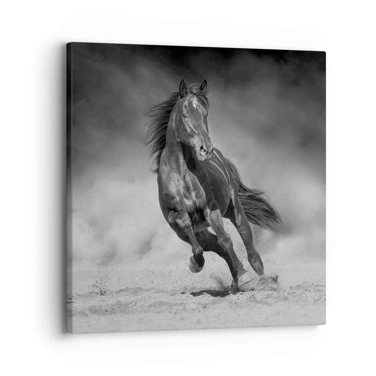 Impression sur toile - Image sur toile - Digne de l'émir lui-même - 30x30 cm