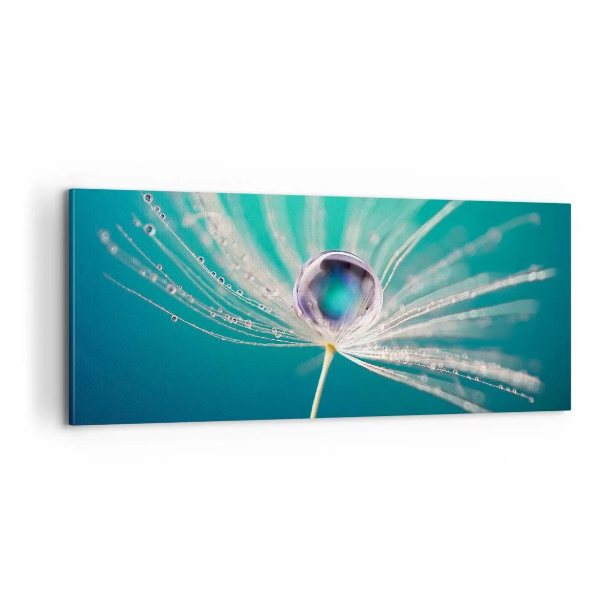 Impression sur toile - Image sur toile - Moment mystique - 100x40 cm