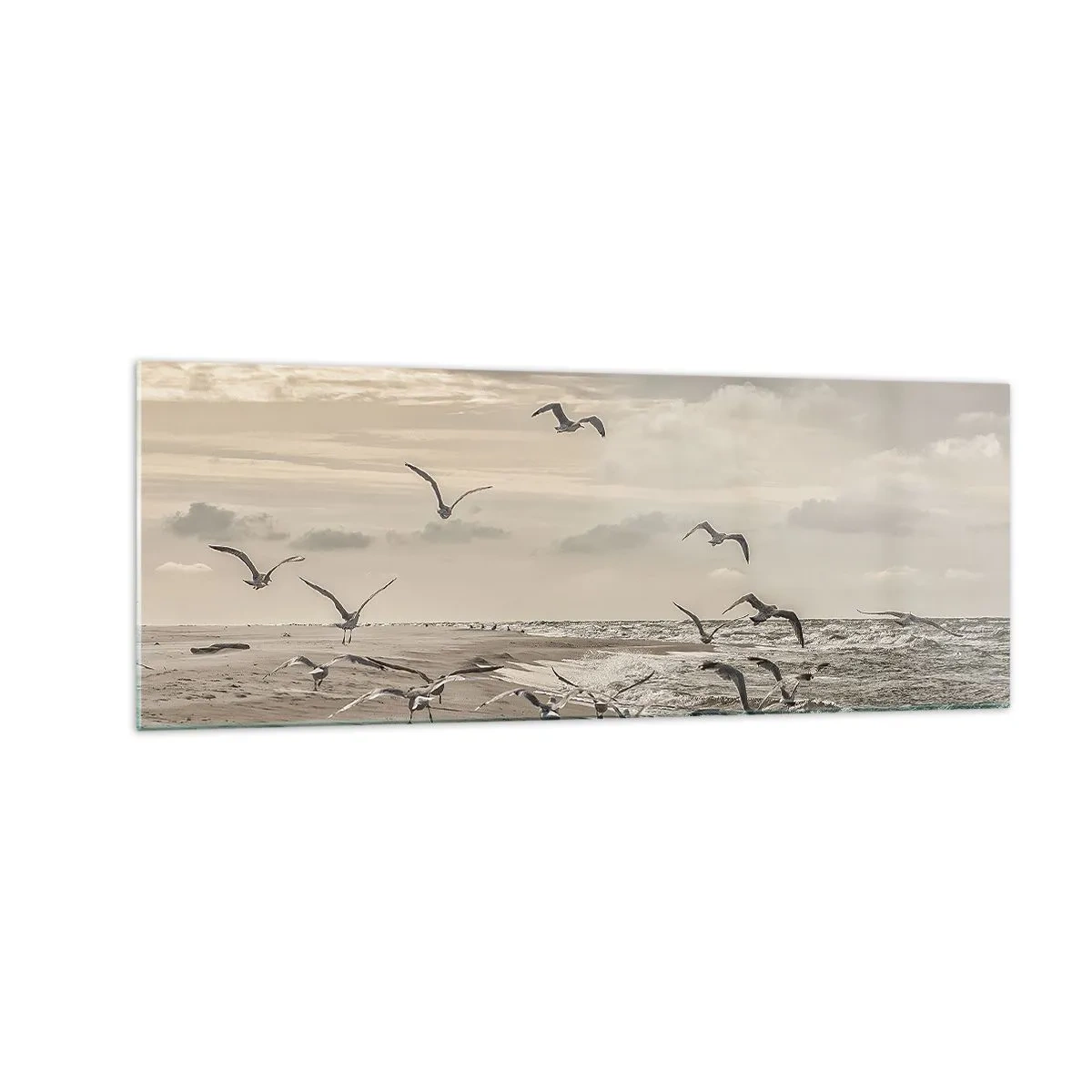 Impression sur verre - Image sur verre - Une mouette en vol au-dessus d'un paysage balnéaire - 140x50cm - Le bruit de la mer, le chant des oiseaux - Décoration murale moderne pour le salon et la chambre ARTTOR