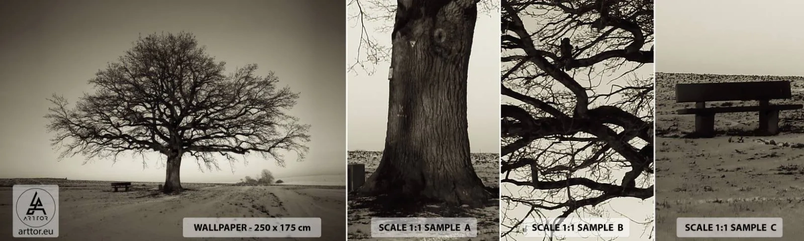 Échantillon De Papier Peint Standard Eco - D'ici à l'éternité - Paysage, Arbre, Nature - 100x30 cm