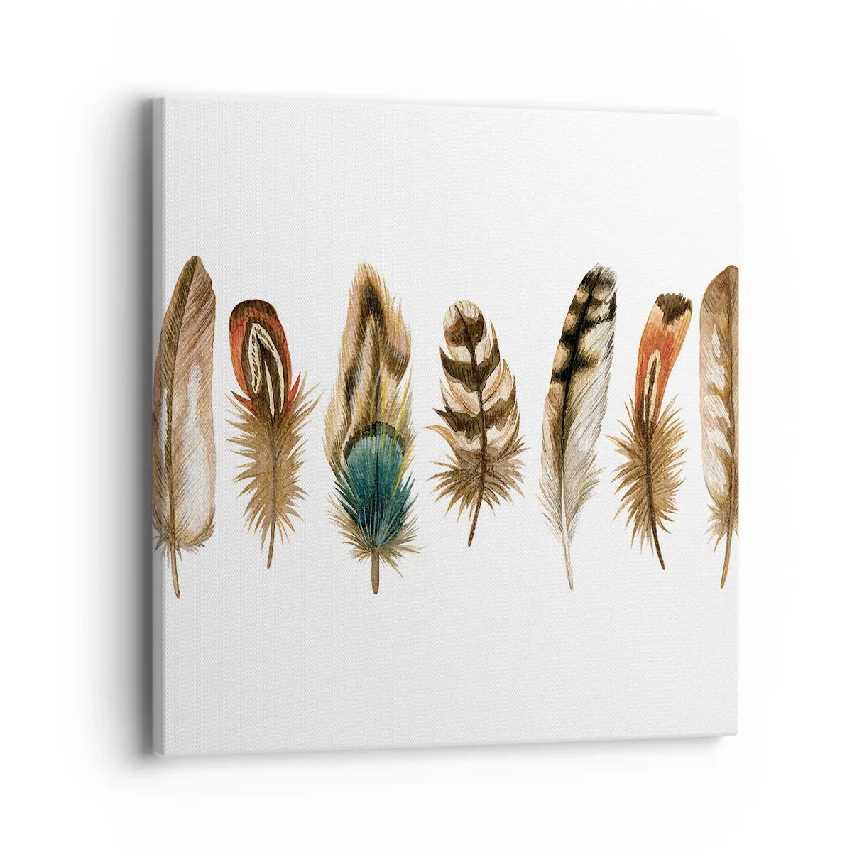 Impression sur toile - Image sur toile - Variation à plumes - 40x40 cm