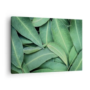 Impression sur toile - Image sur toile - Gros plan de feuilles vertes créant un motif naturel - 70x50cm - Juteux et frais - Décoration murale moderne pour le salon et la chambre ARTTOR