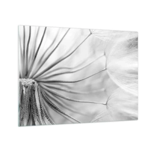 Impression sur verre - Image sur verre - Photographie macro d'un pissenlit dans des tons de noir et blanc - 70x50cm - Aigrette avant son envol - Décoration murale moderne pour le salon et la chambre ARTTOR