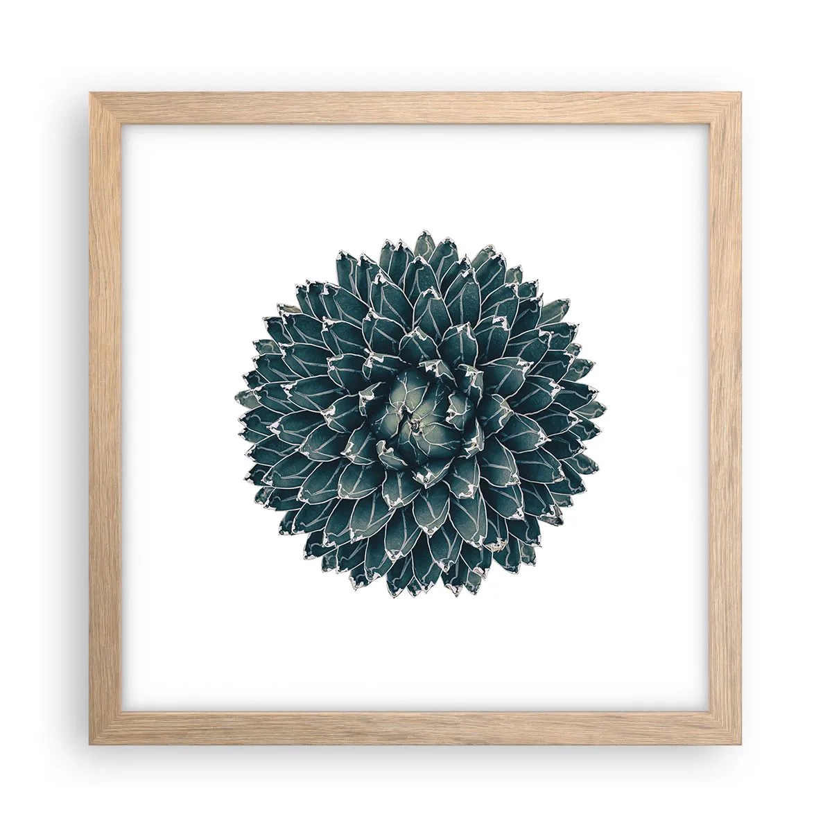 Affiche dans un chêne clair - Poster - Étoile du désert - 30x30 cm