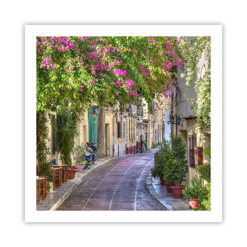 Affiche - Poster - Allée fleurie - 60x60 cm