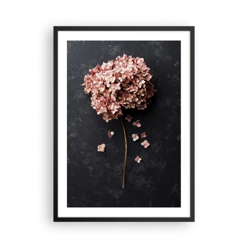Affiche dans un cadre noir - Poster - Hortensia séché sur fond noir - 50x70cm - Un signe vraiment romantique - Décoration murale moderne pour le salon et la chambre ARTTOR
