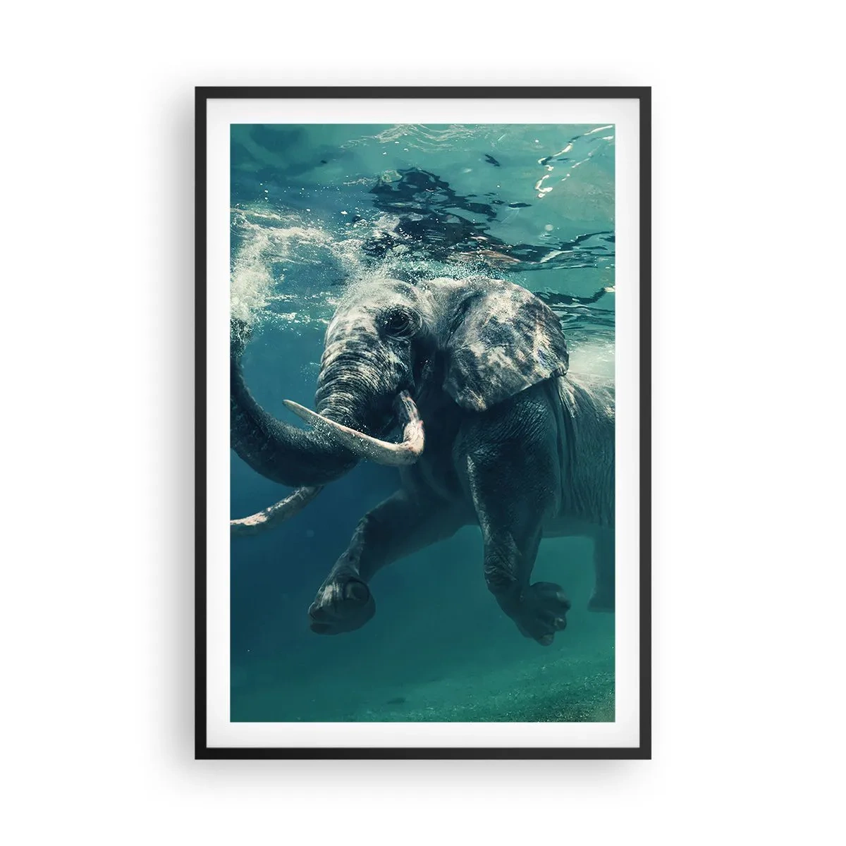 Affiche dans un cadre noir - Poster - Tout le monde aime nager - 61x91 cm