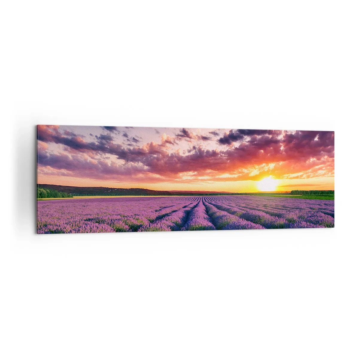 Impression sur toile - Image sur toile - Un champ de lavande au coucher du soleil avec un ciel coloré - 160x50cm - Monde de lavande - Décoration murale moderne pour le salon et la chambre ARTTOR