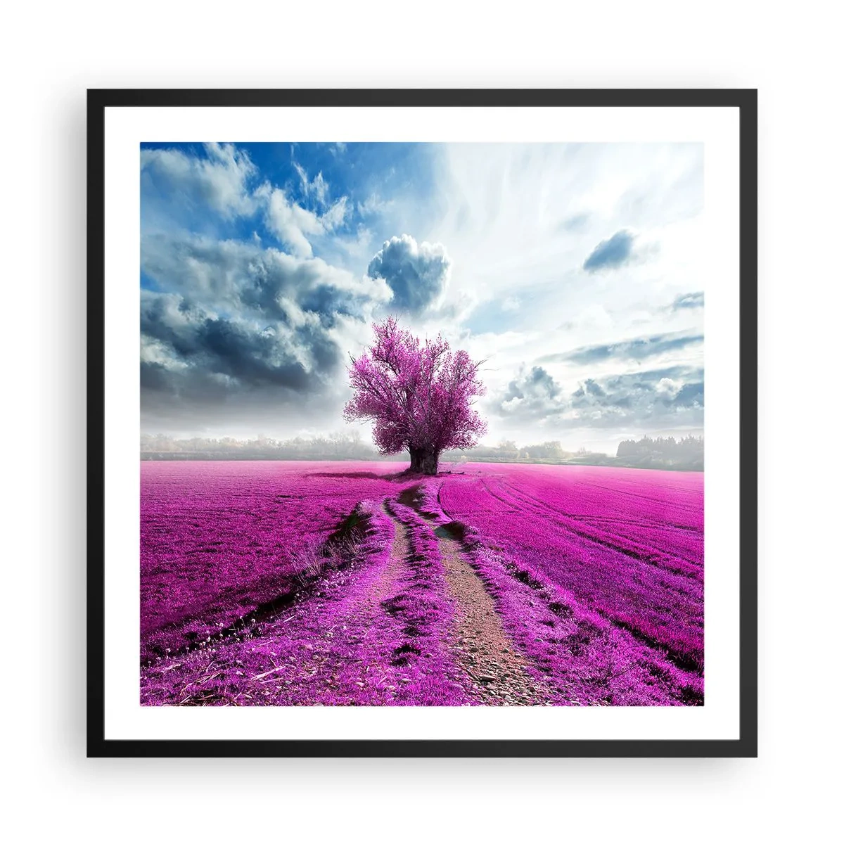 Affiche dans un cadre noir - Poster - Lande - nature sauvage - 60x60 cm