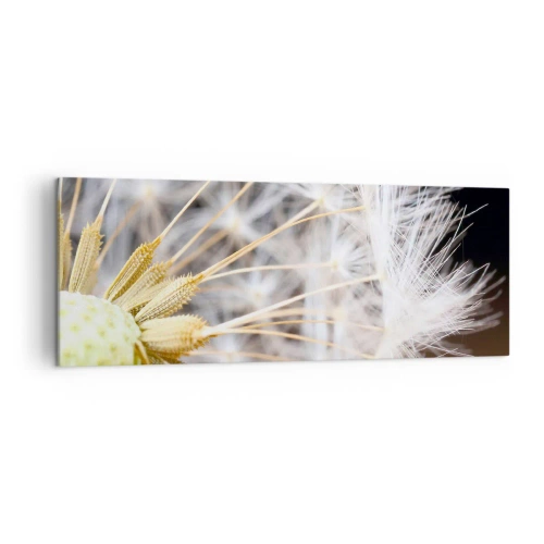 Impression sur toile - Image sur toile - Photographie macro d'un pissenlit aux graines délicates - 140x50cm - Juste avant le départ - Décoration murale moderne pour le salon et la chambre ARTTOR