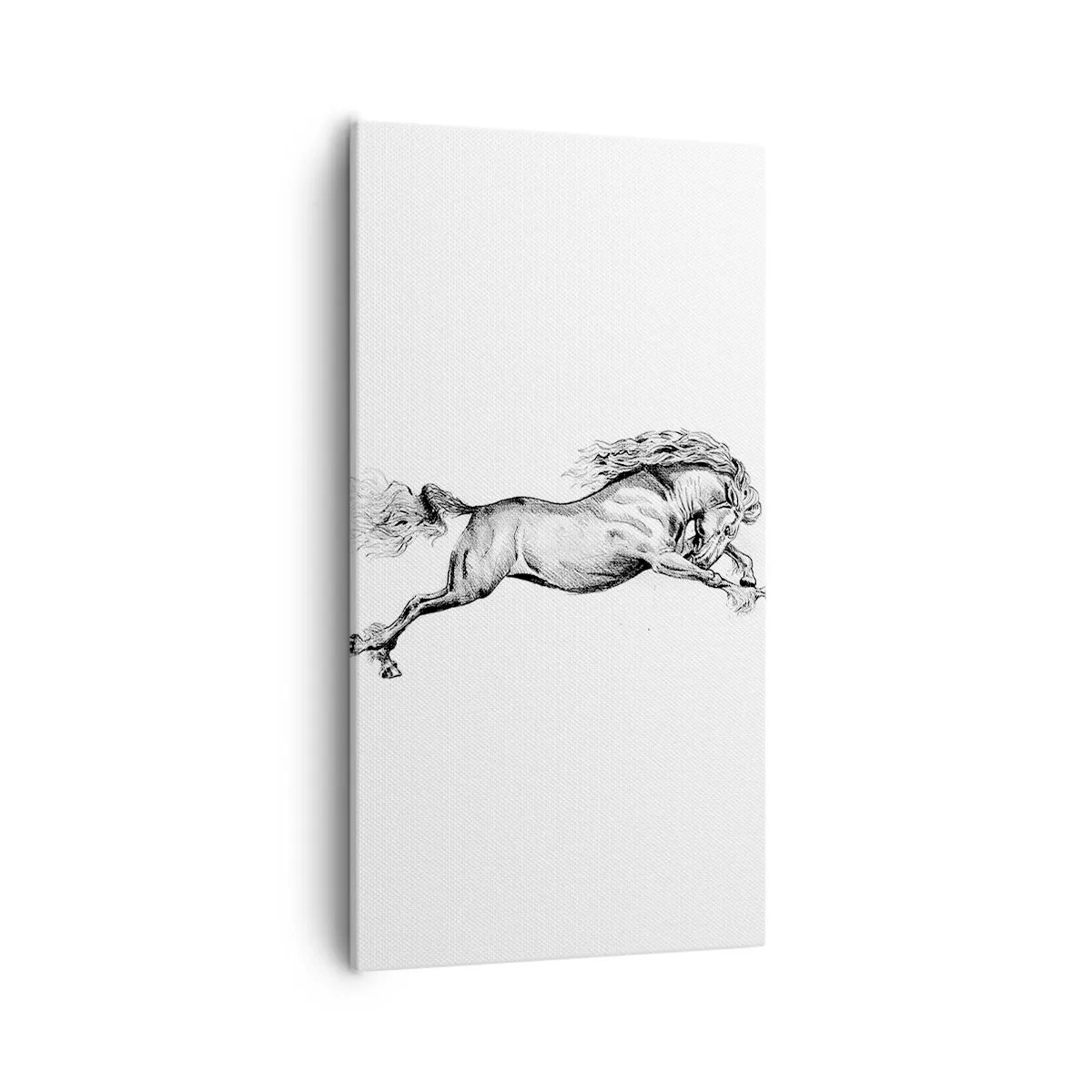 Impression sur toile - Image sur toile - Immortalisé au galop - 55x100 cm
